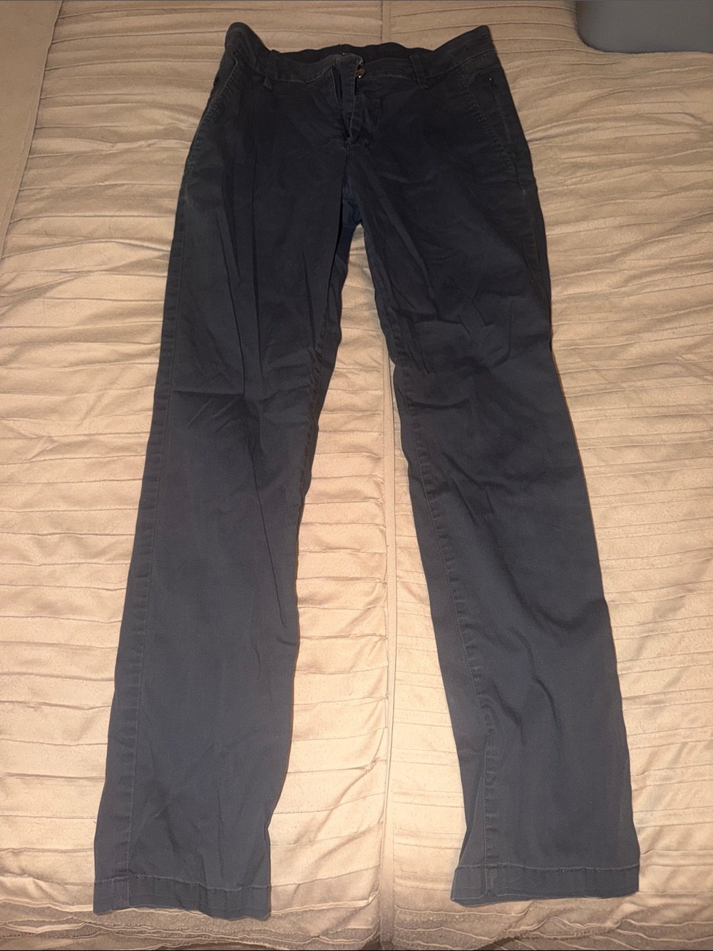 Birddogs Men's Dark Navy Chinos